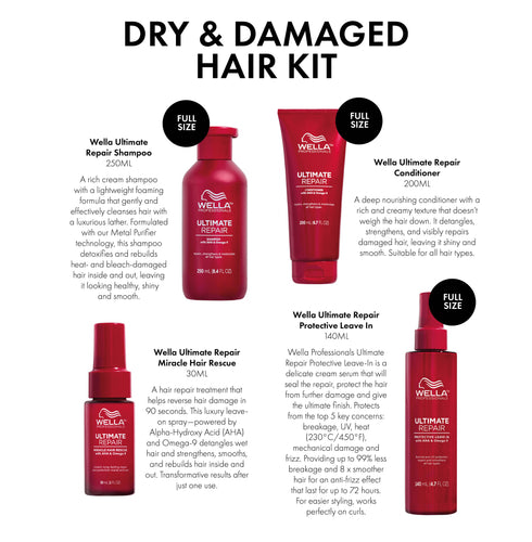DRY & DAMAGED HAIR KIT (WORTH OVER £100)