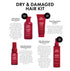 DRY & DAMAGED HAIR KIT (WORTH OVER £100)