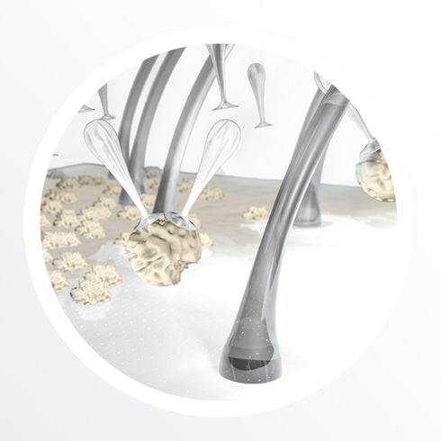 Nioxin 6 System Trial Kit for Chemically Treated Hair with Progressed Thinning